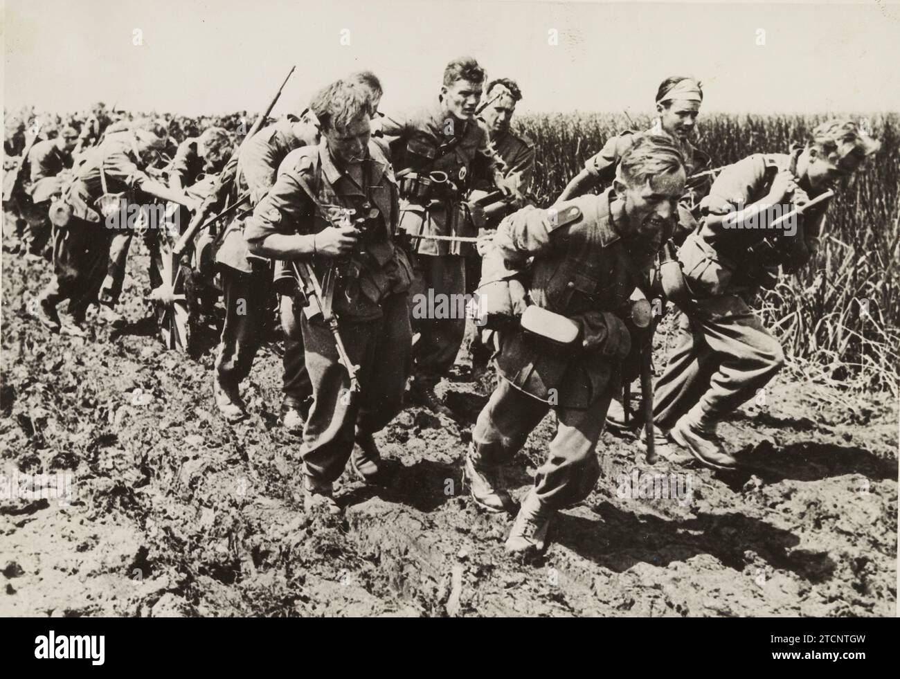 Russia, August 1942. The hardships of war in Russia. The German Infantry advances with great difficulty through the swampy terrain of the Don delta. At the cost of great effort they make the ammunition carts roll over the muddy roads. Credit: Album / Archivo ABC / Heinrich Hoffmann Stock Photo