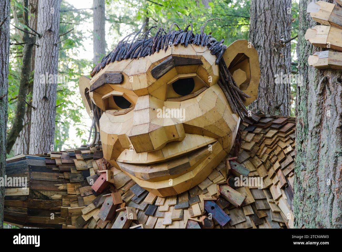 Issaquah, WA, USA - October 26, 2023; Danish environmental artist Thomas Dambo artwork - Jakob Two Tree with face detail Stock Photo