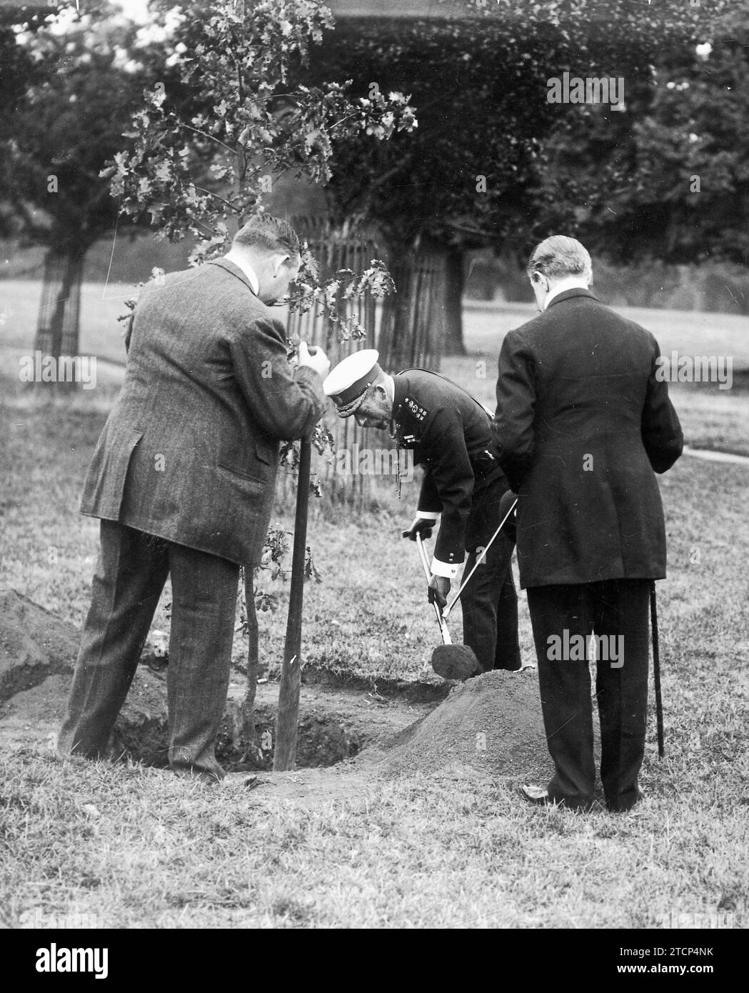09/30/1913. The King of England in Althorp Park. HM King George V of England planting a tree in Althorp Park to commemorate his visit to such a beautiful site. Credit: Album / Archivo ABC / Louis Hugelmann Stock Photo