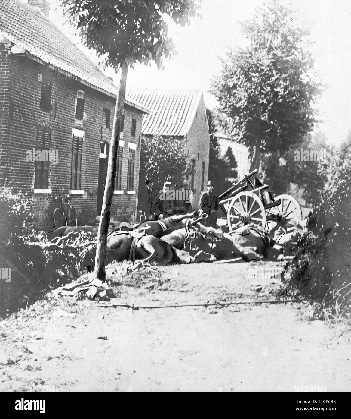 07/31/1914. In the vicinity of Liège. Horse corpses on a street in a small town near Liege. Credit: Album / Archivo ABC / Meurisse Stock Photo