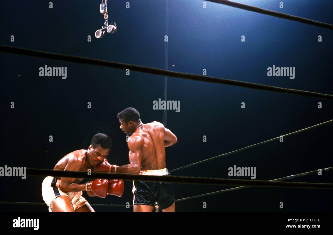 NEW YORK, NY - JUNE 8: Floyd Patterson (1935-2006) (black trunks) punches Thomas 'Hurricane' Jackson (1931-1982) (white trunks) during their heavyweight fight at Madison Square Garden on June 8, 1956 in New York, New York. (Photo by Hy Peskin) *** Local Caption *** Floyd Patterson;Thomas Jackson Stock Photo