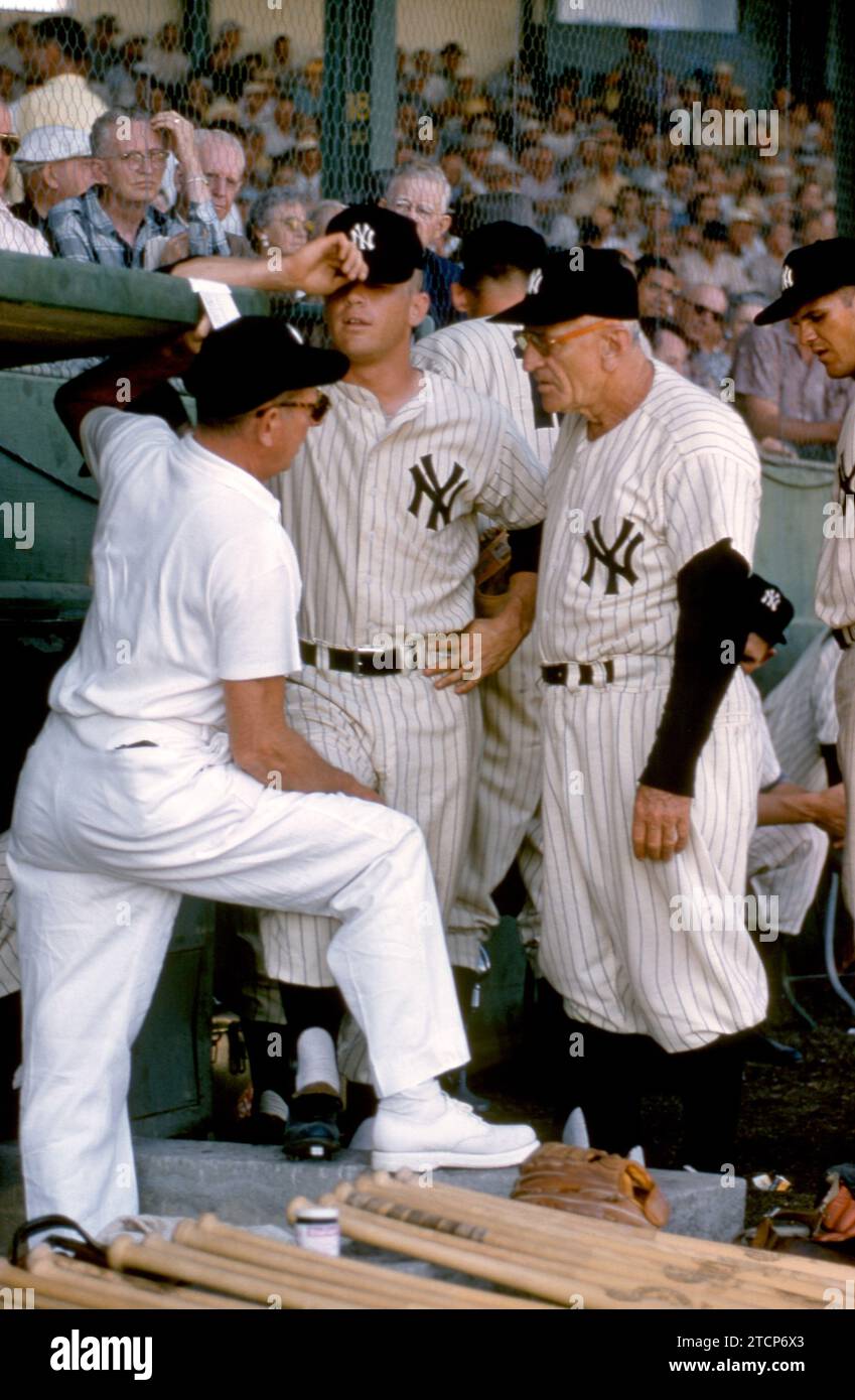 Mickey mantle 1956 hi-res stock photography and images - Alamy