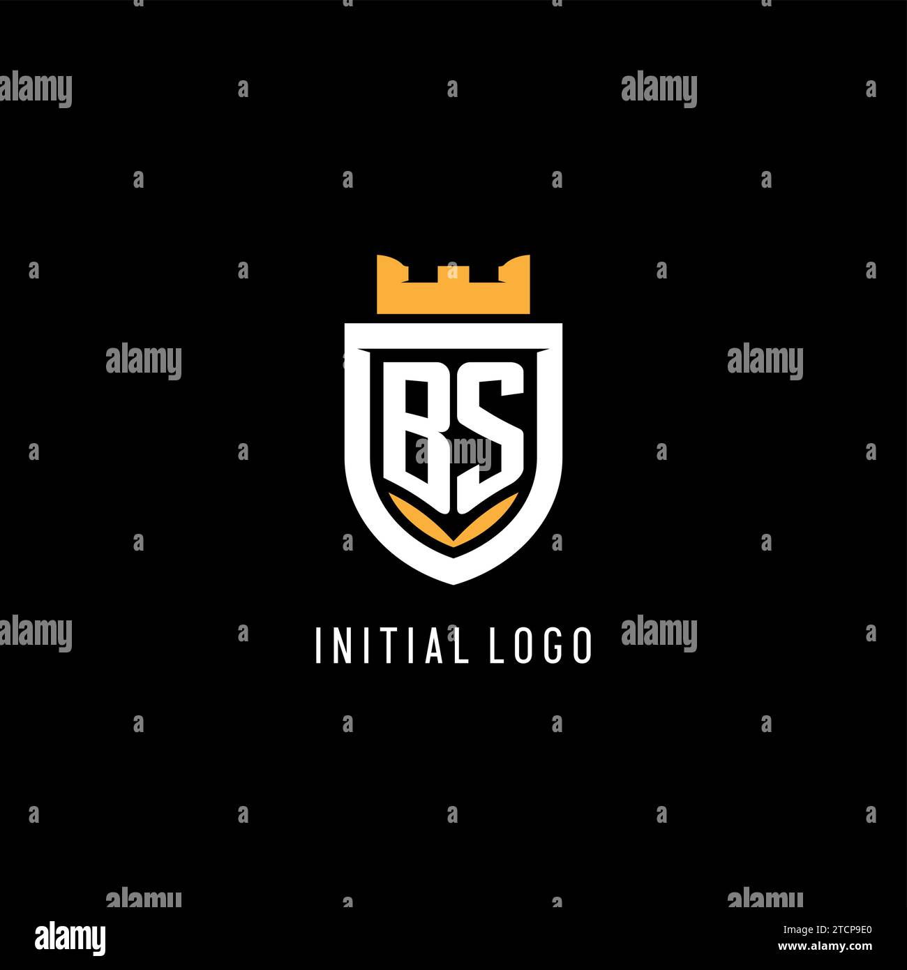 Initial BS logo with shield, esport gaming logo monogram style vector graphic Stock Vector