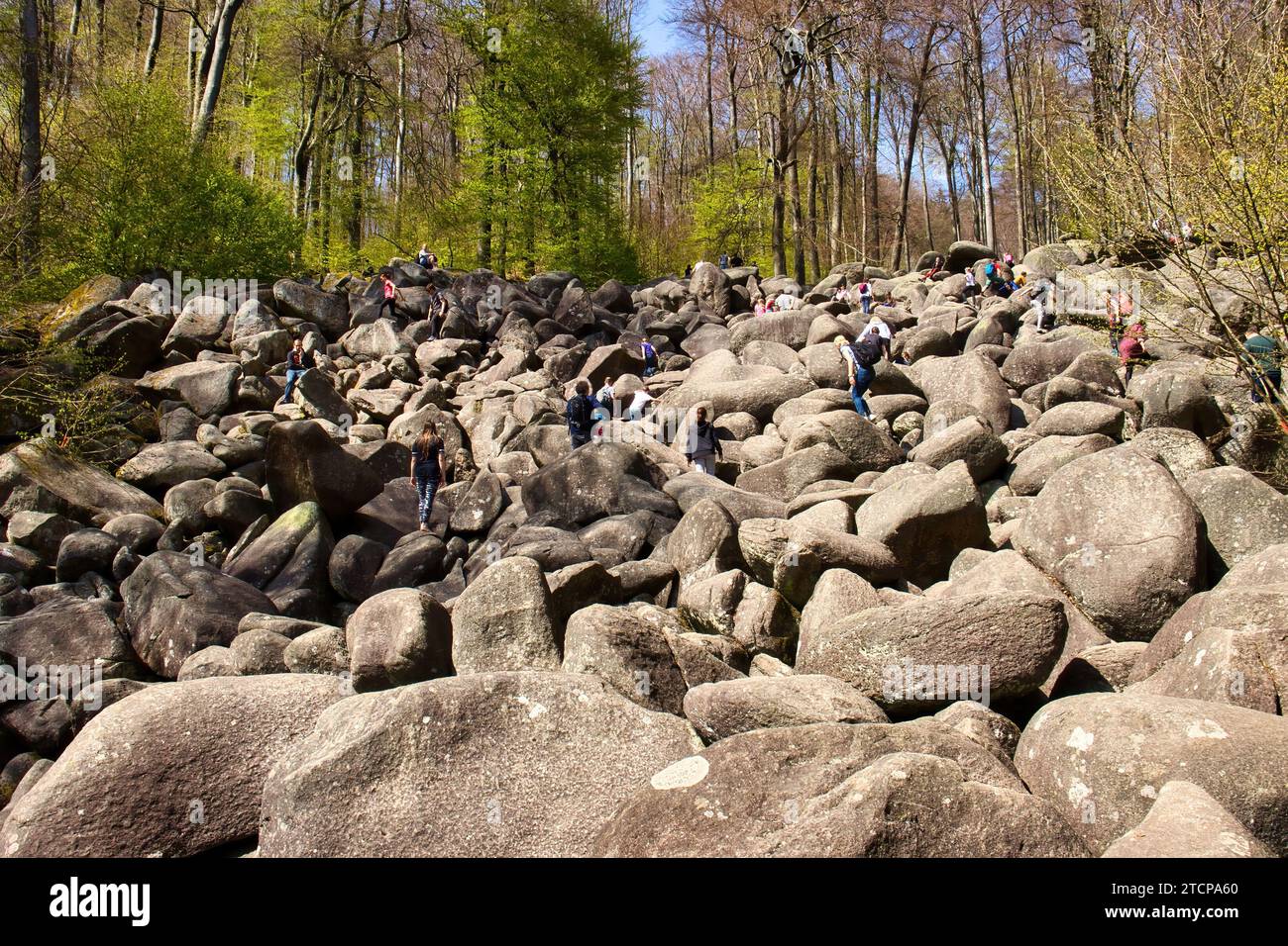 Lautertal, Germany - April 24, 2021: People climbing on large rocks on a hill at Felsenmeer on a spring day in Germany. Stock Photo