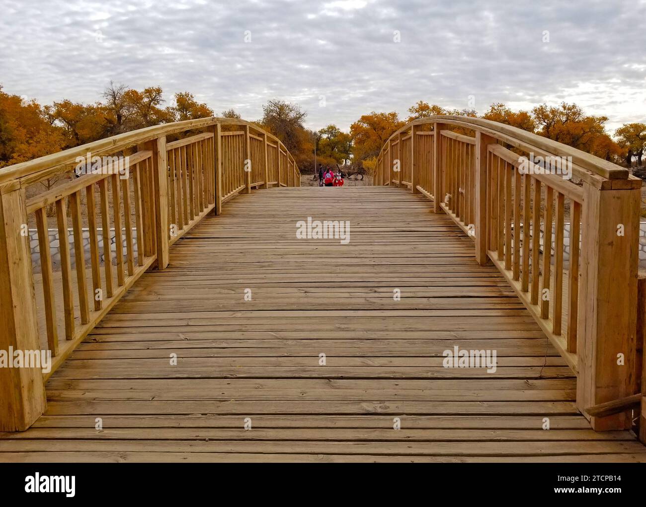 Wooden bridge with desert poplar, also known as Populus euphratica, trees on the other side, in an Inner Mongolian desert, on a cloudy autumn day -16 Stock Photo