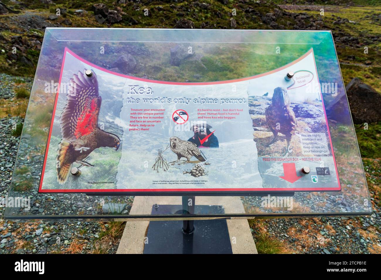Kea Infromation Sign Homer tunnel visitor information hi-res stock photography and images ...
