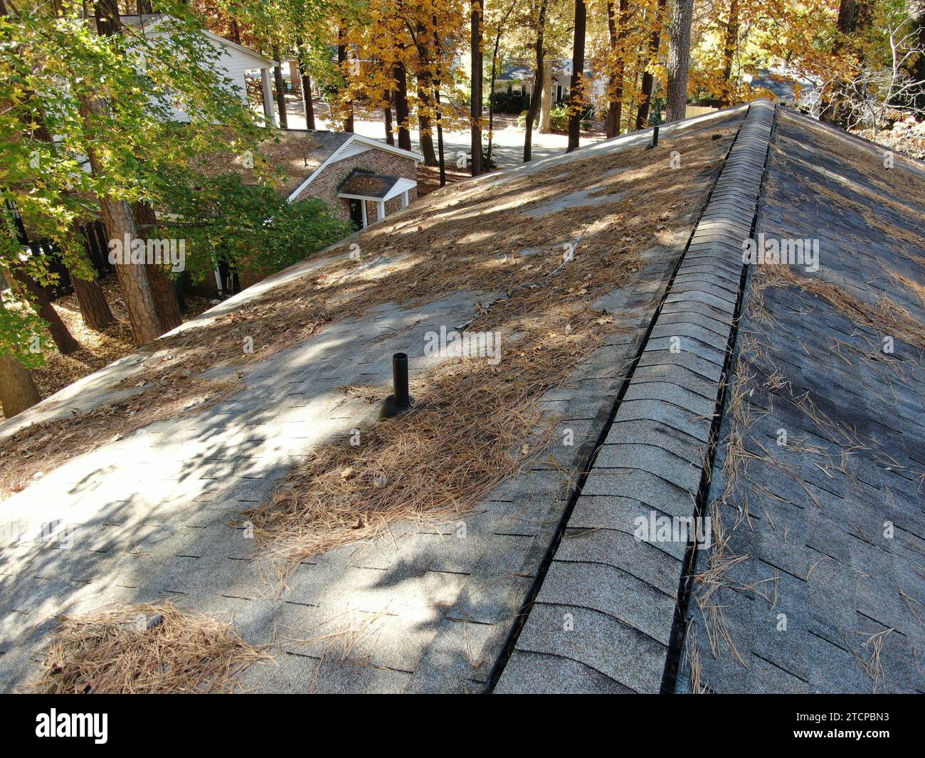 drone photos of an old roof covered with leaves and pine needles on a