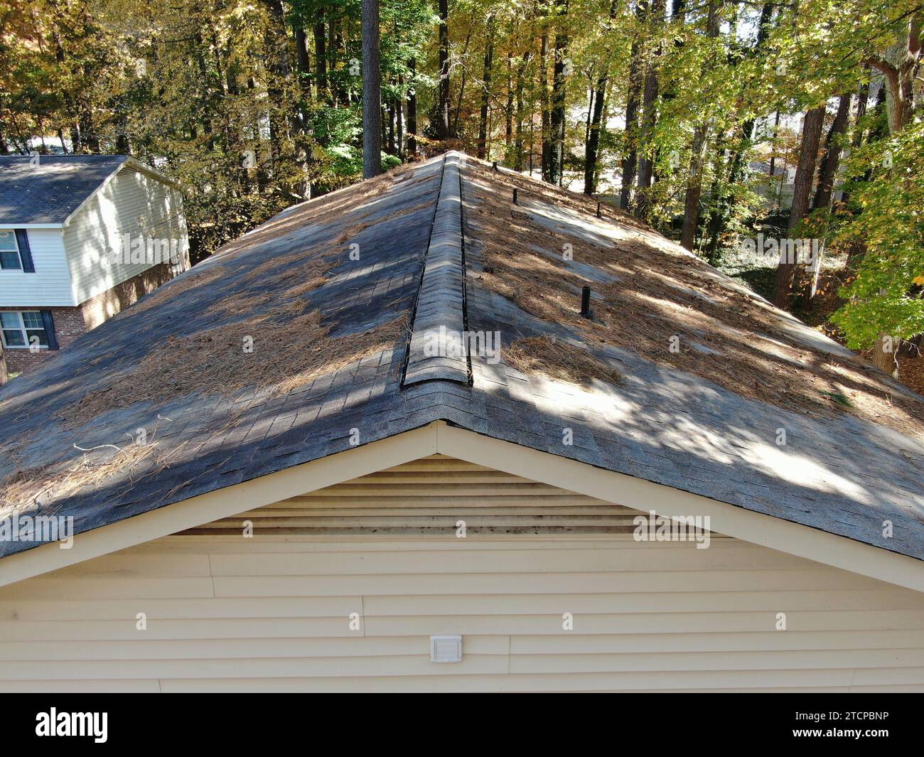 drone photos of an old roof covered with leaves and pine needles on a ...