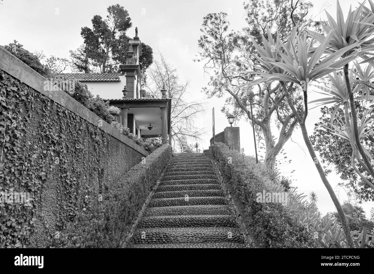 Pathway stones Black and White Stock Photos & Images - Alamy