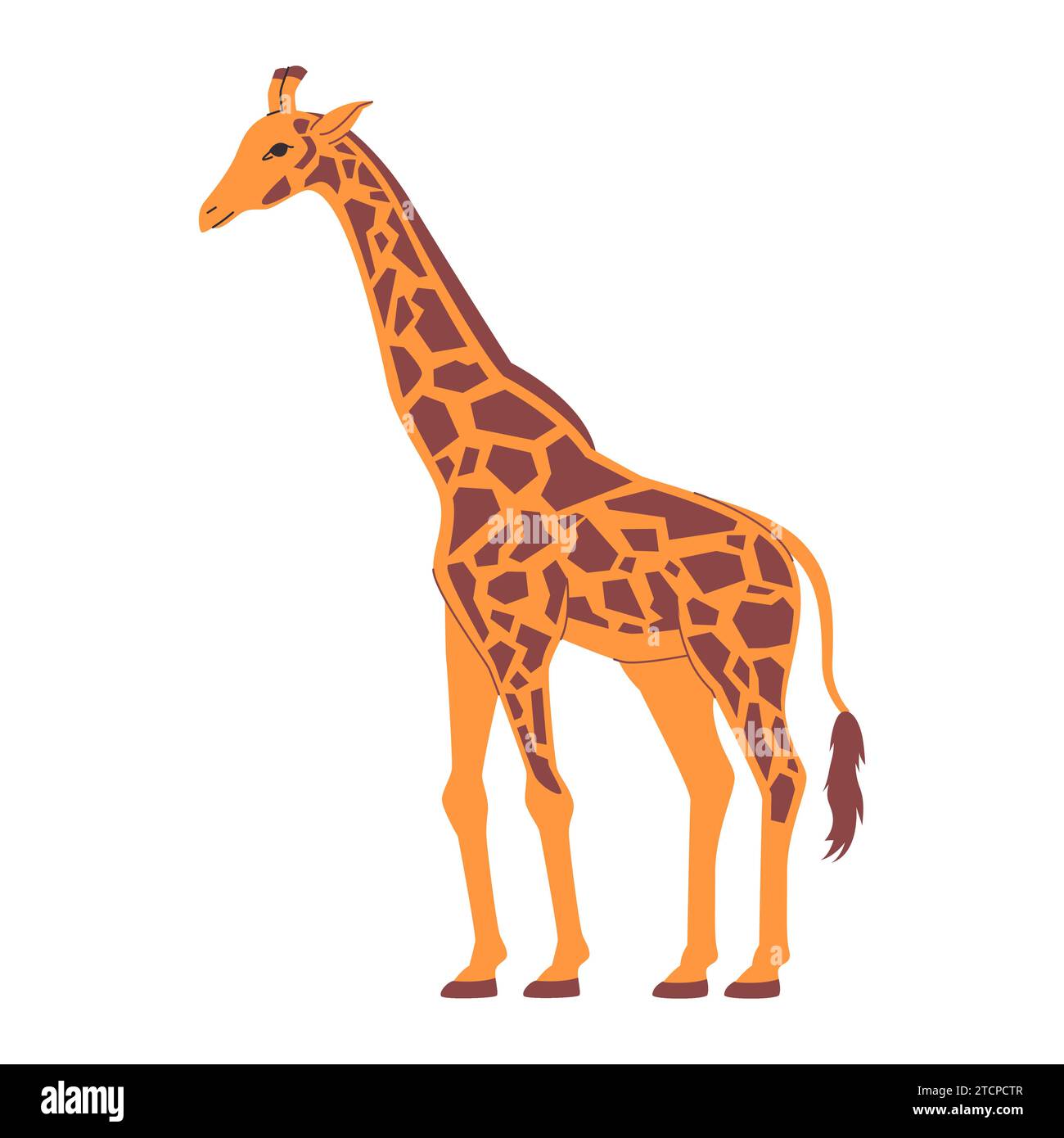herbivore-giraffa-camelopardalis-spotted-animal-stock-vector-images-alamy