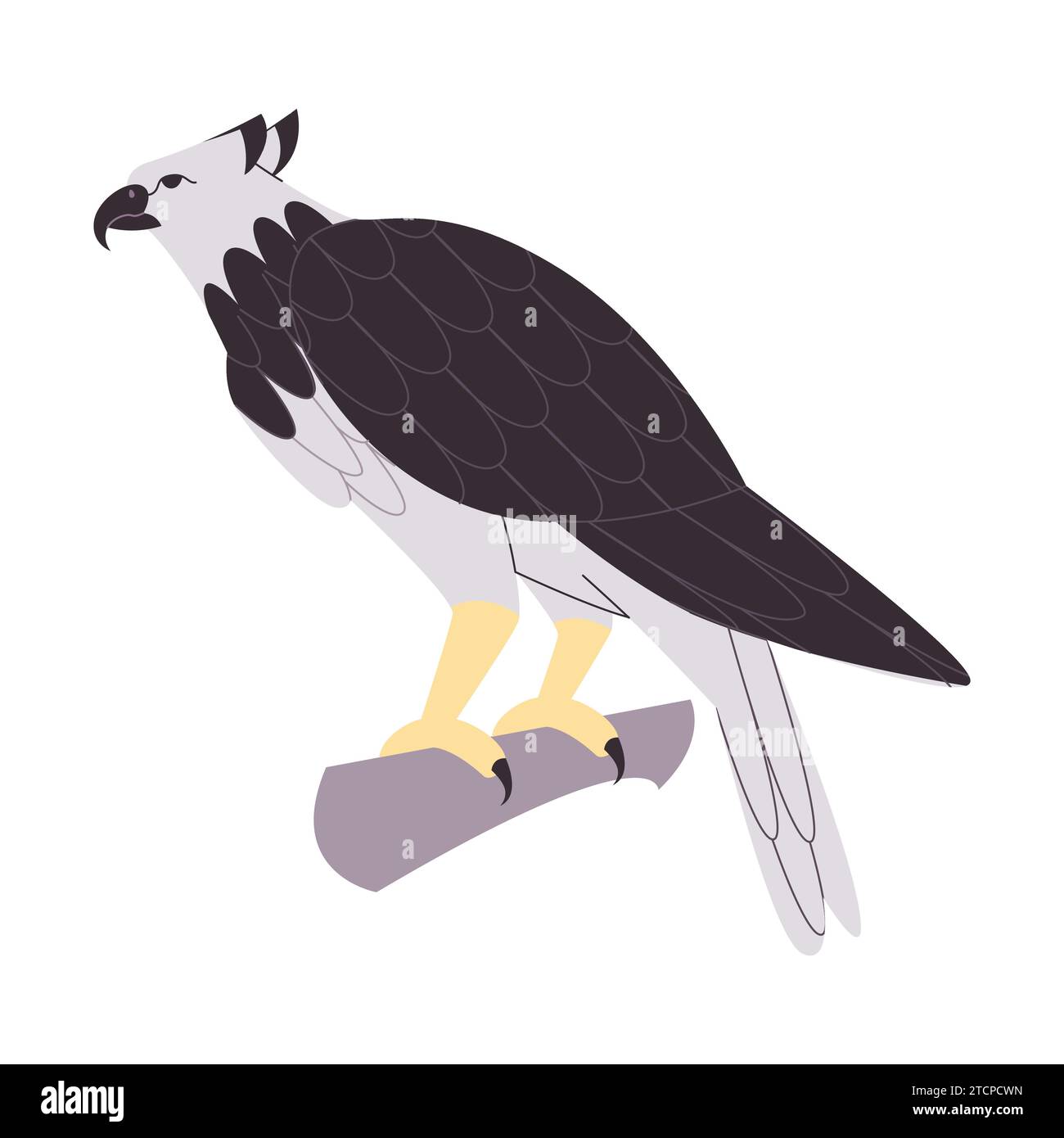 Harpy Eagle Png Cheap Sales | www.normanfinkelstein.com