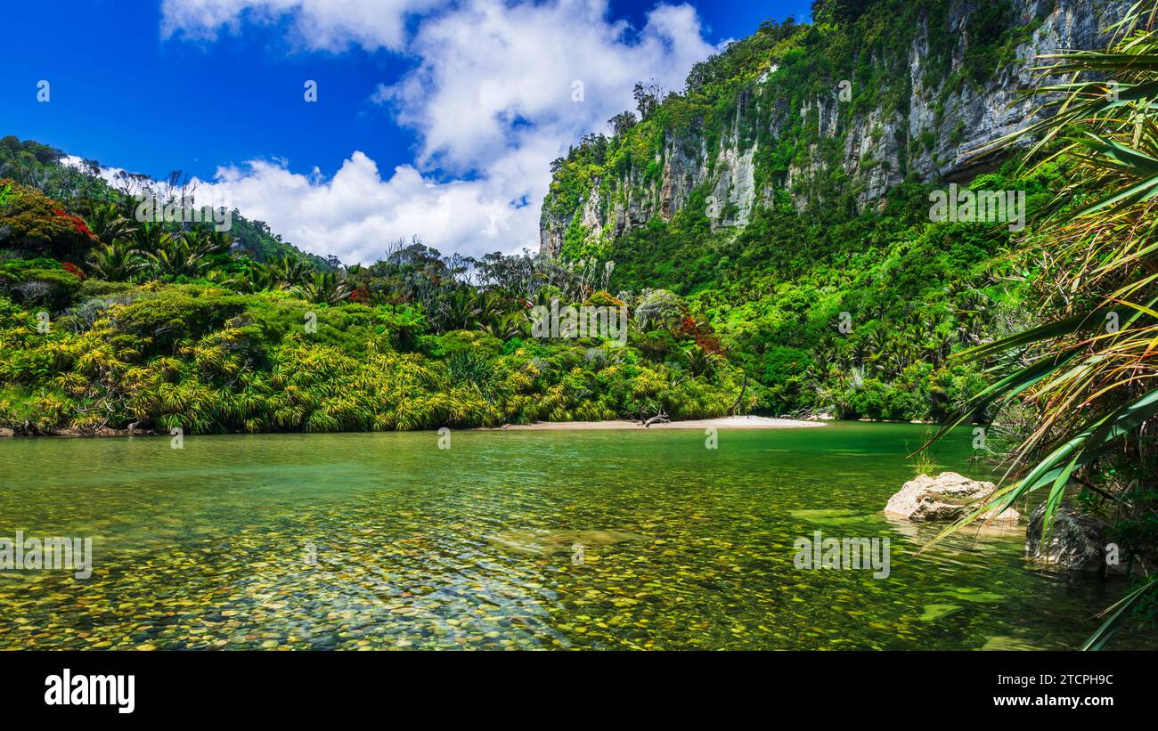 The Pororari River Paparoa National Park Punakaiki New Zealand Stock The Pororari River Paparoa National Park Punakaiki New Zealand Stock