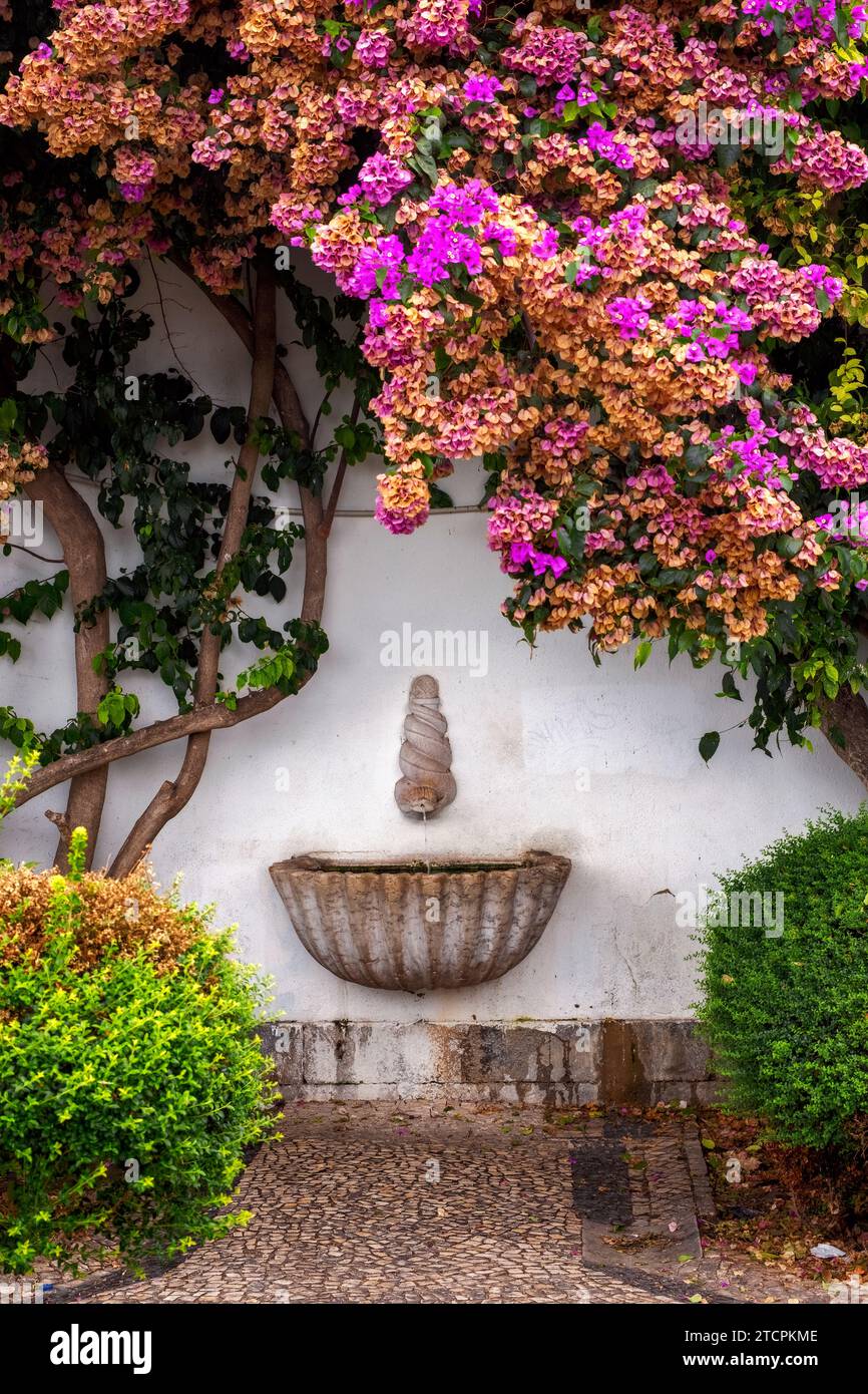 Shell Shaped Water Fountain framed with Flowers, Church of Santa Luzia, Lisbon, Portugal Stock Photo