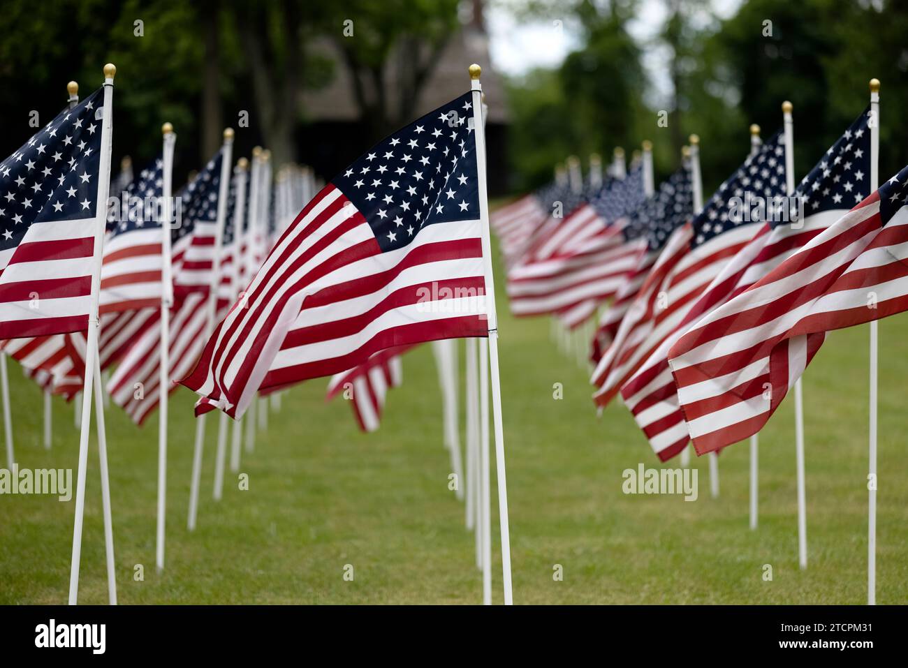 Row of American Flags Flying in the Wind on Memorial Day, New Jersey, USA Stock Photo