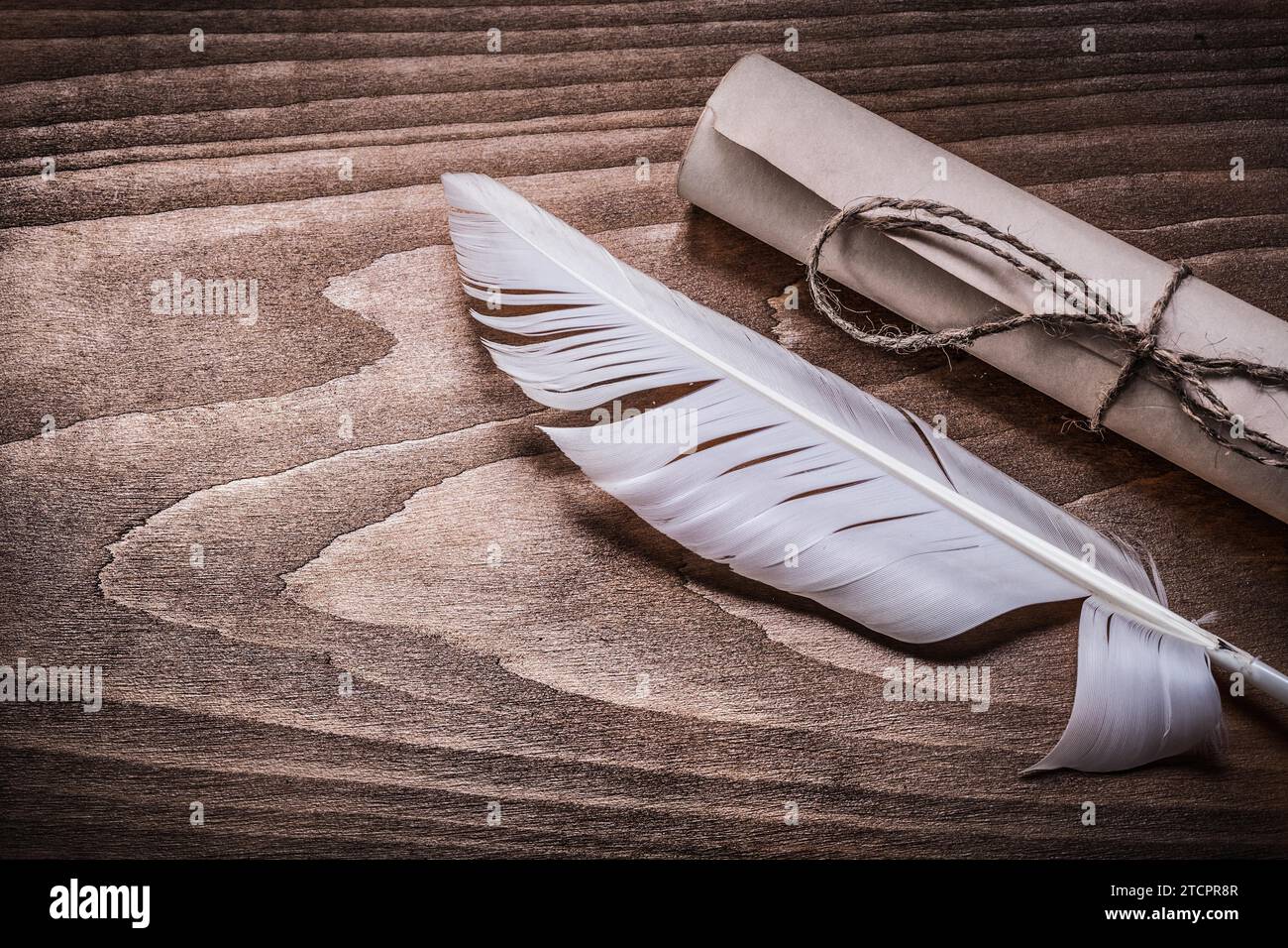 Paper roll bird hi-res stock photography and images - Alamy