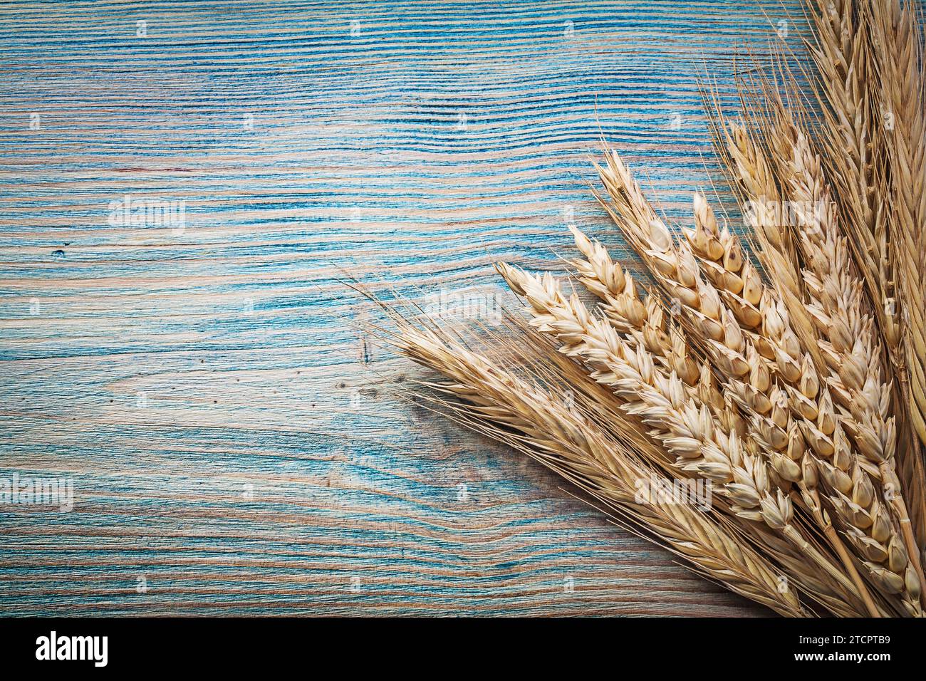 Bread rye ears on vintage wooden board food and drink concept Stock Photo
