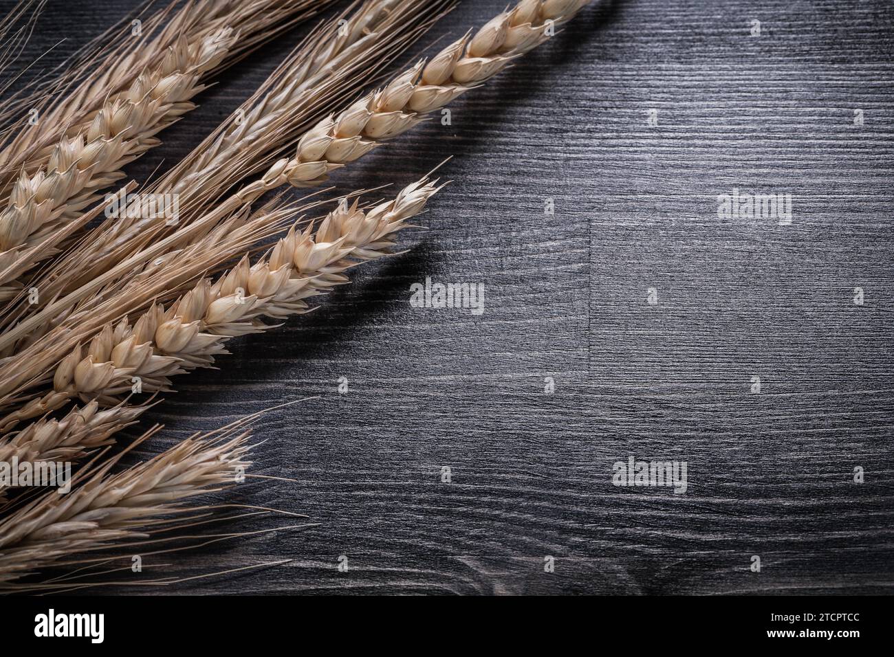 Bundle of wheat rye ears eating and drinking concept Stock Photo