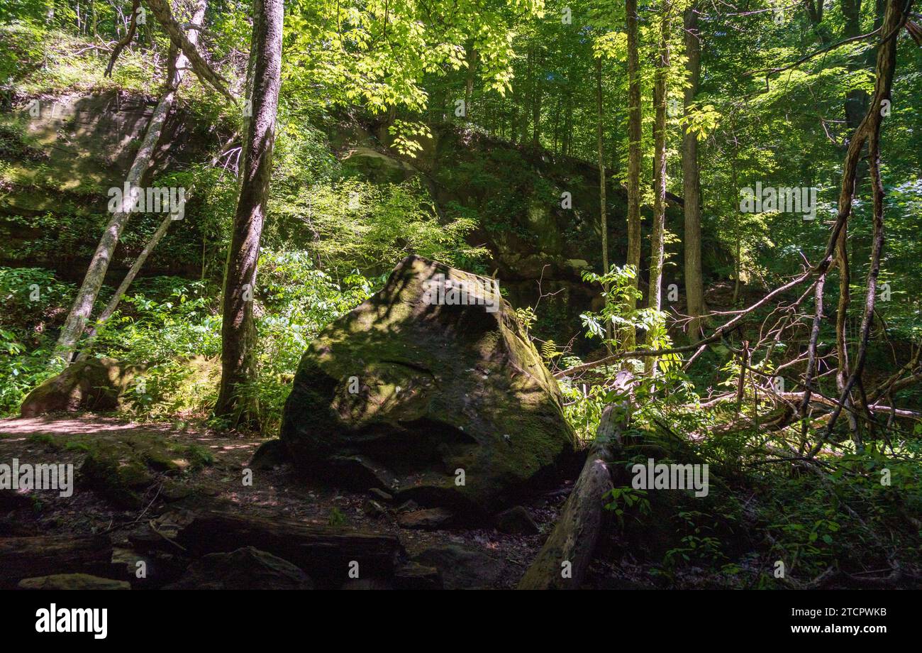 Rock House at Wayne National Forest in Ohio, USA Stock Photo Alamy
