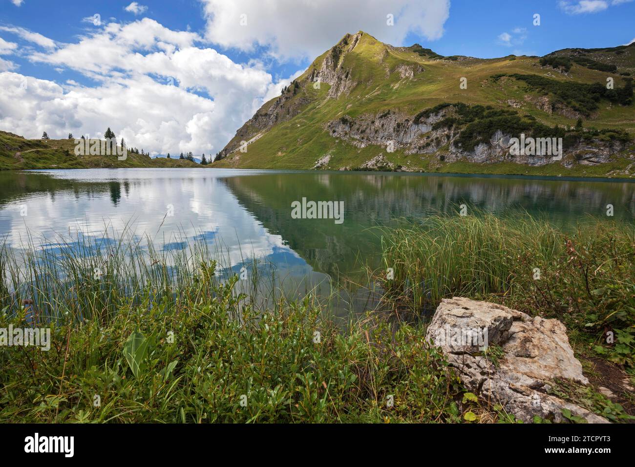 Seealpsee, at Nebelhorn, near … – License image – 71116447