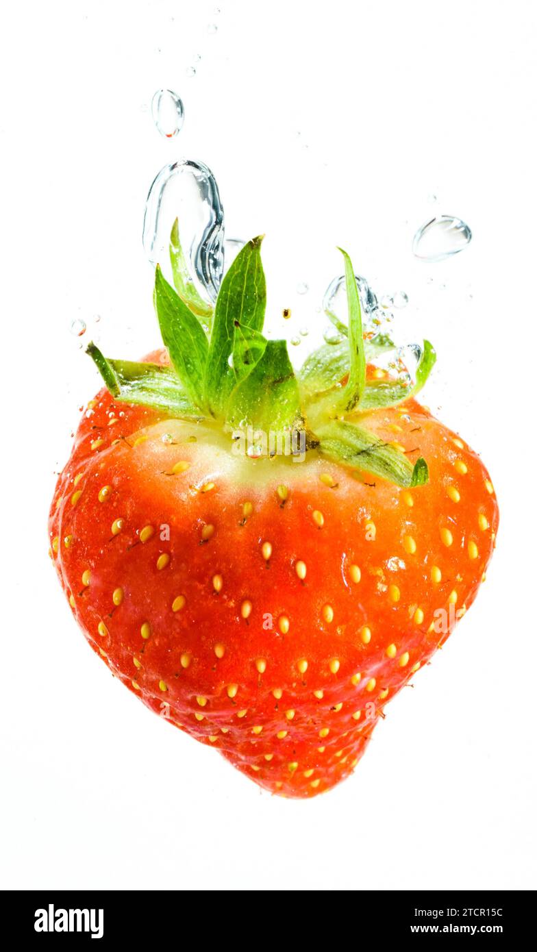 Strawberry falls deeply under water with a big splash. Fruit sinking in