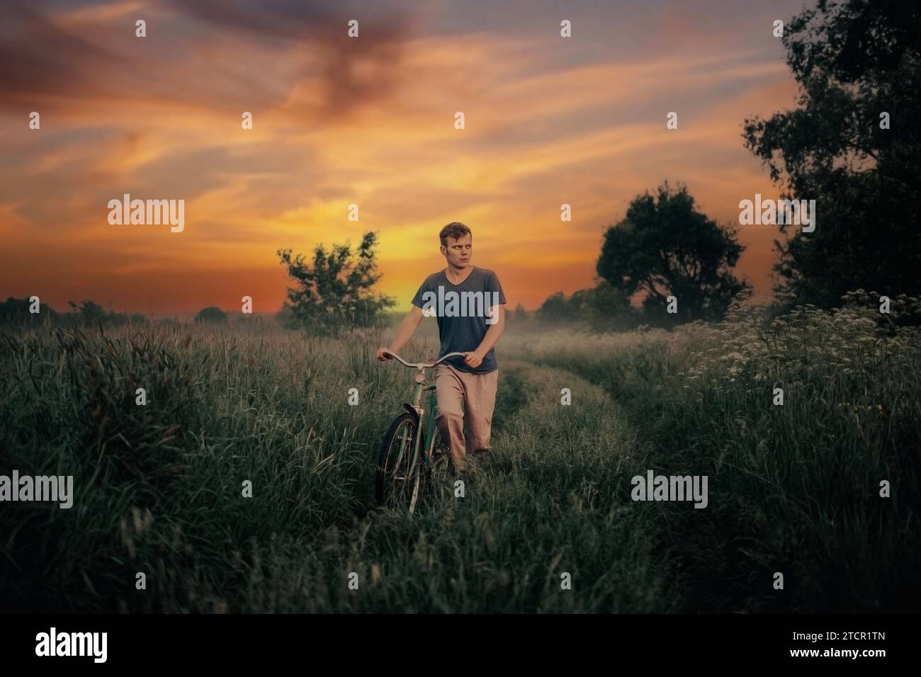 Bicycle field nature hi-res stock photography and images - Page 6 - Alamy, image size:1300x956