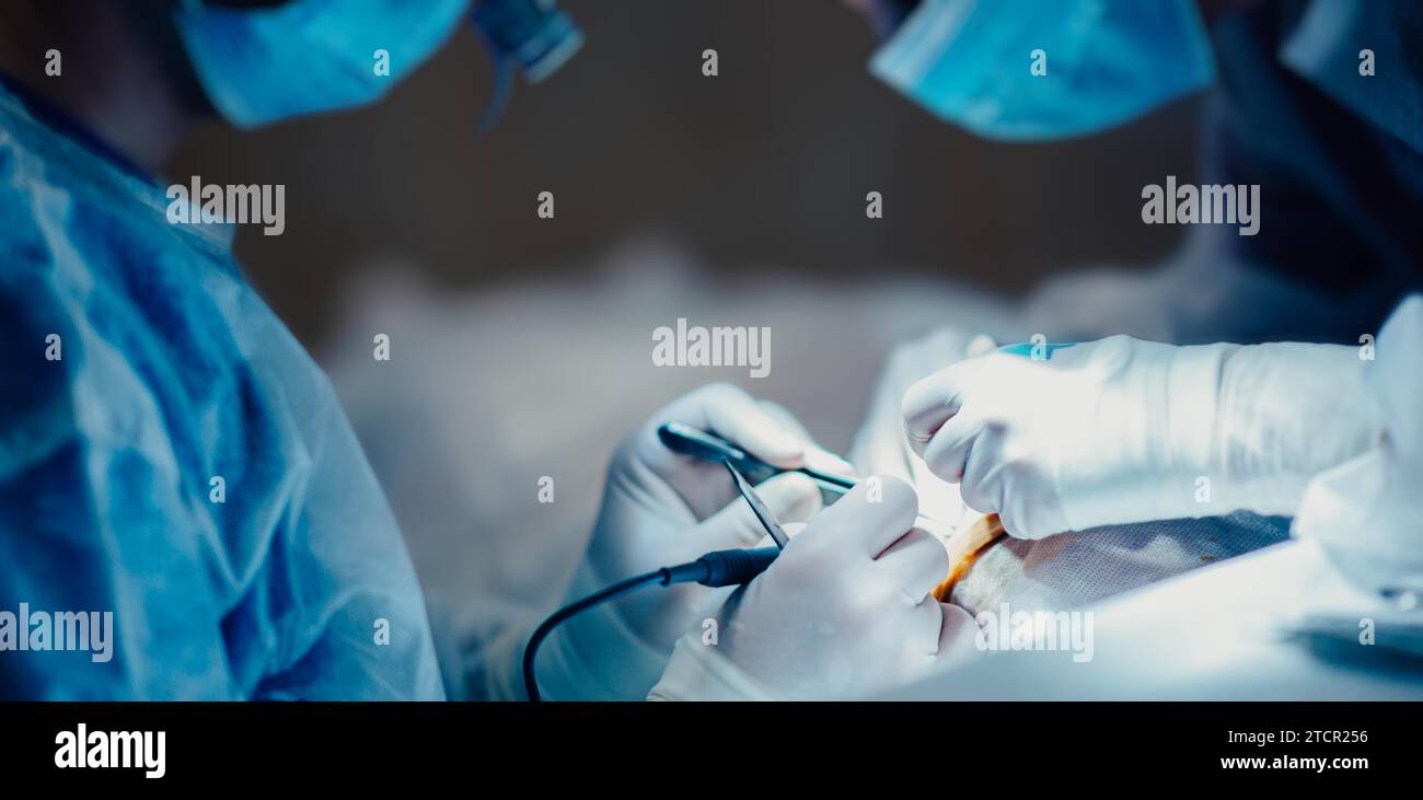 Surgeon operating on patient in operating room close up, surgical operation Stock Photo