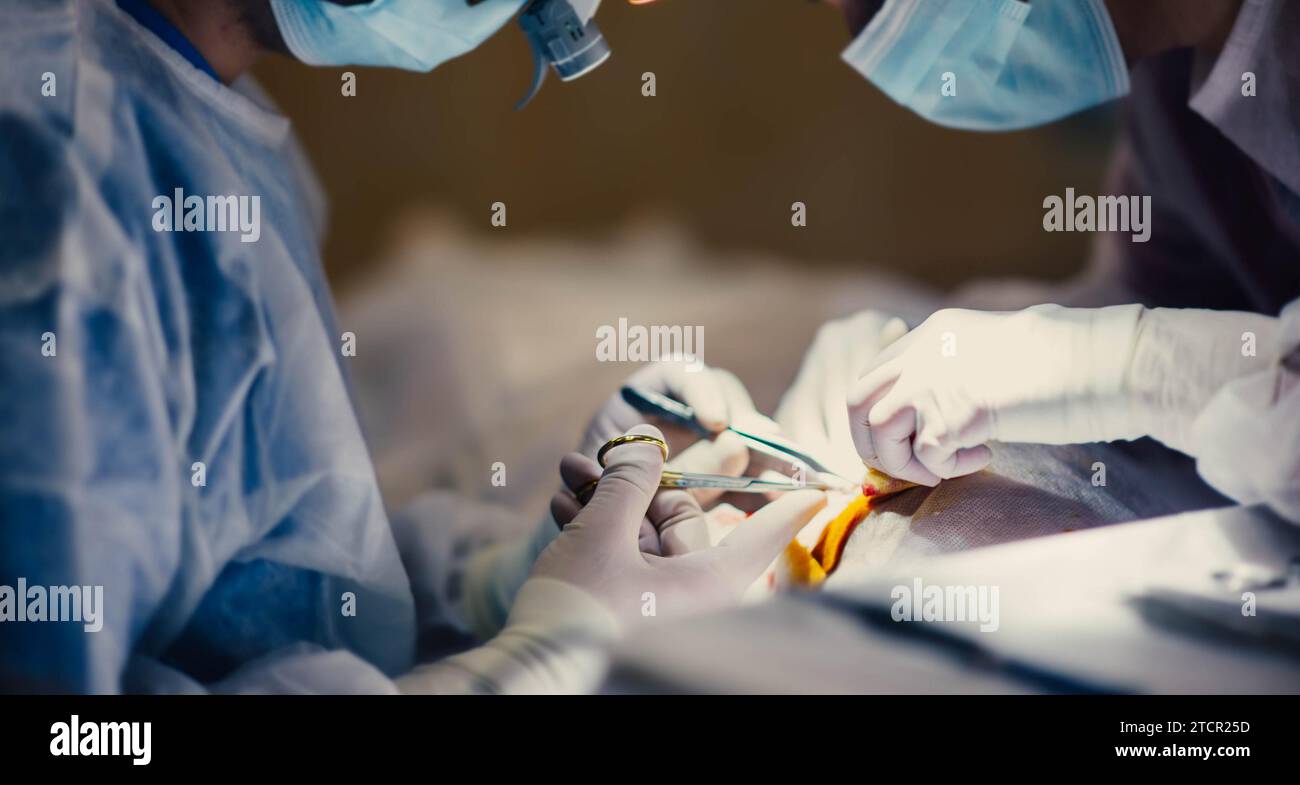 Surgical operation hi-res stock photography and images - Alamy