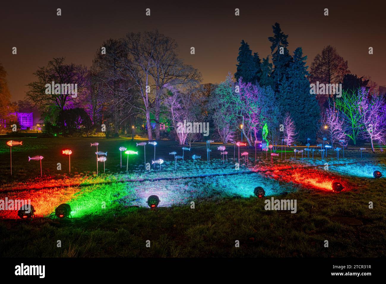 From 9 December 2023 to 14 January 2024, the Palmengarten in Frankfurt am Main will host the