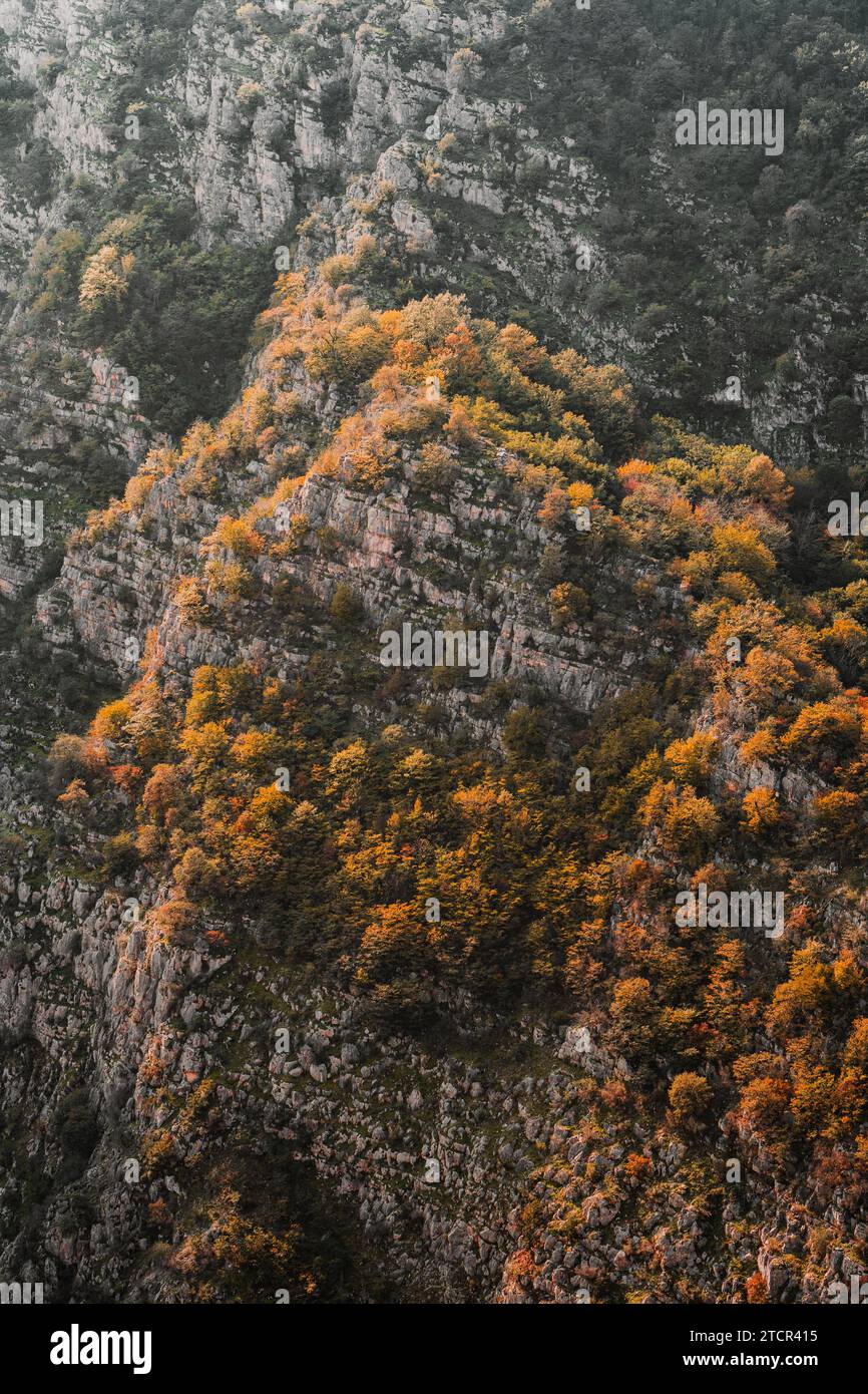 Mountain with trees Stock Photo