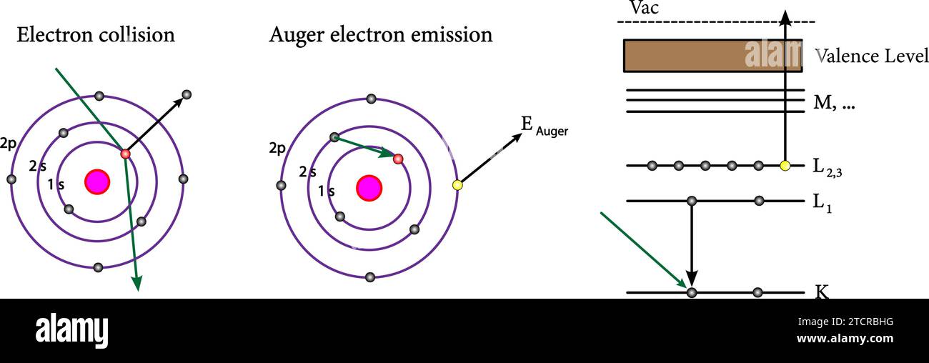 Illustration of the Auger-process.Vector illustration. Stock Vector