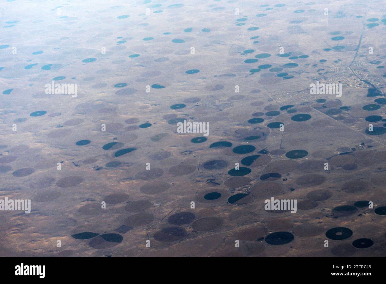 Aerial view of circular agriculture fields in the Arabian desert in Saudi Arabia. Stock Photo