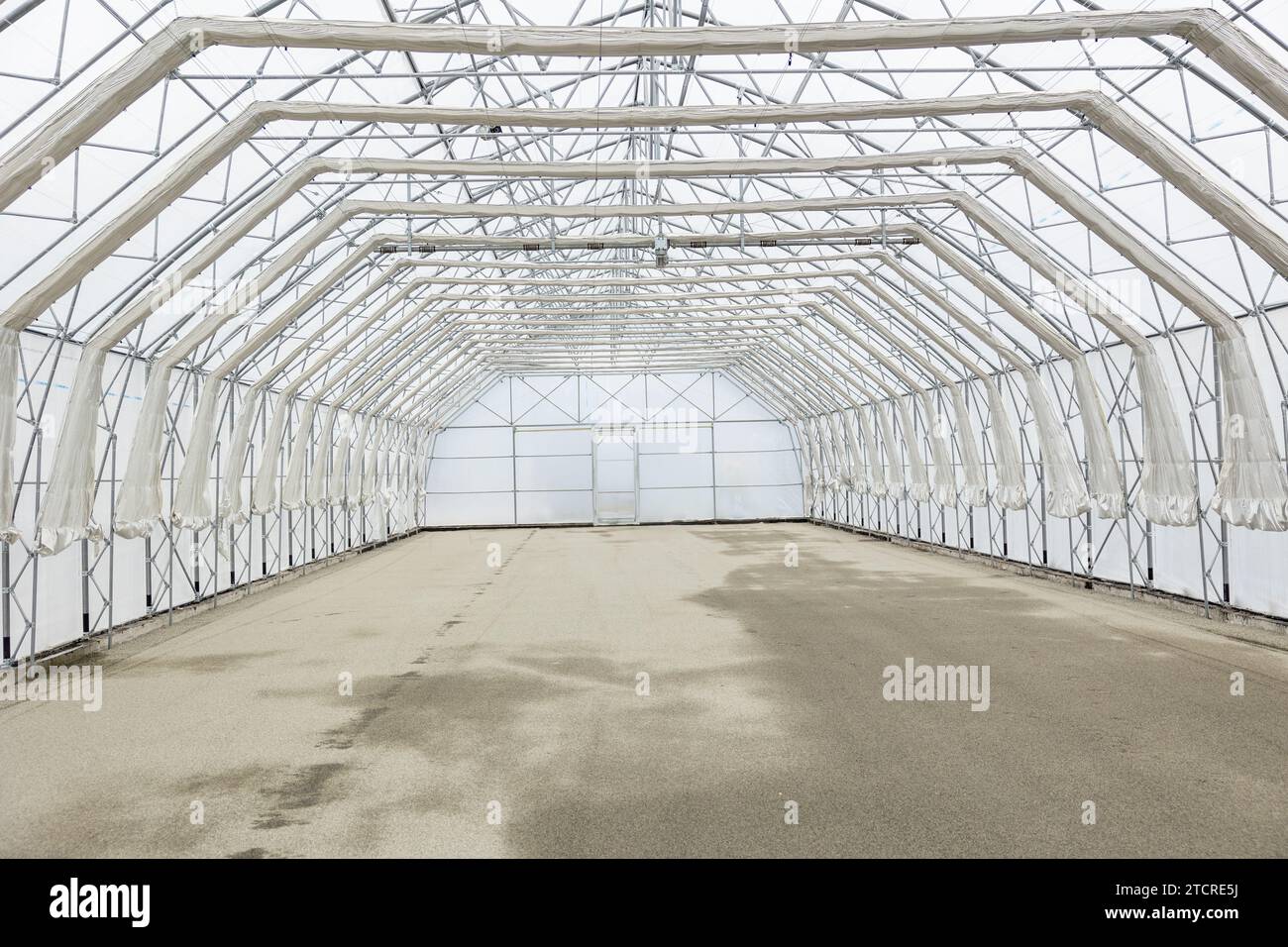 Big greenhouse tomato plants hi-res stock photography and images - Alamy