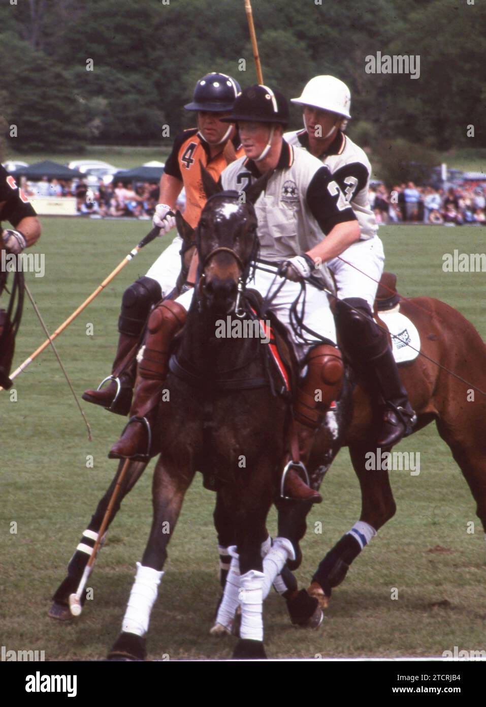 Maglia Torneo Harry's Horse Blackpool | Maniche Corte Con Colletto E Cerniera - Design Elegante