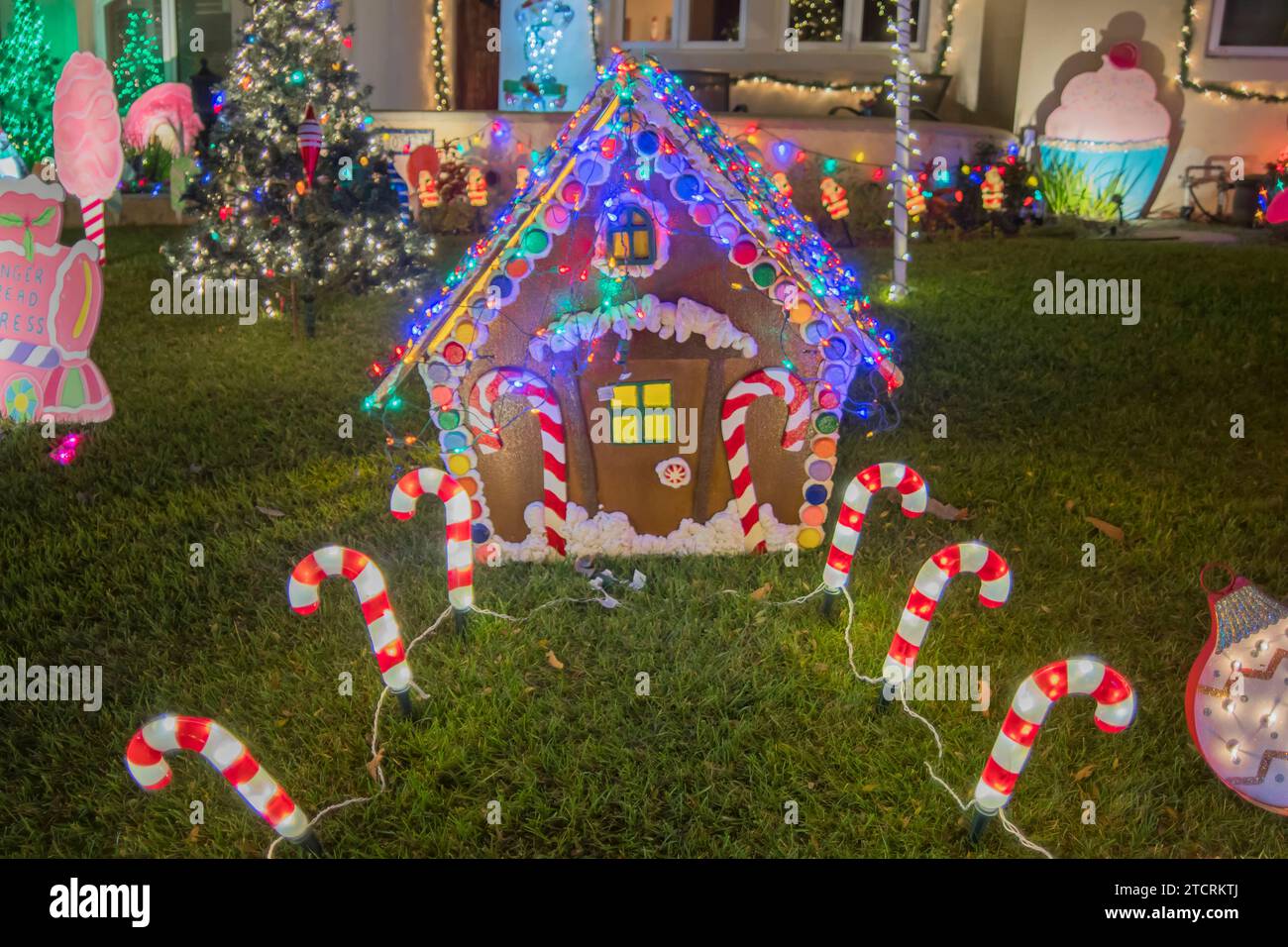 South Bay, California, USA. 13th Dec, 2023. Tucked in a South Torrance