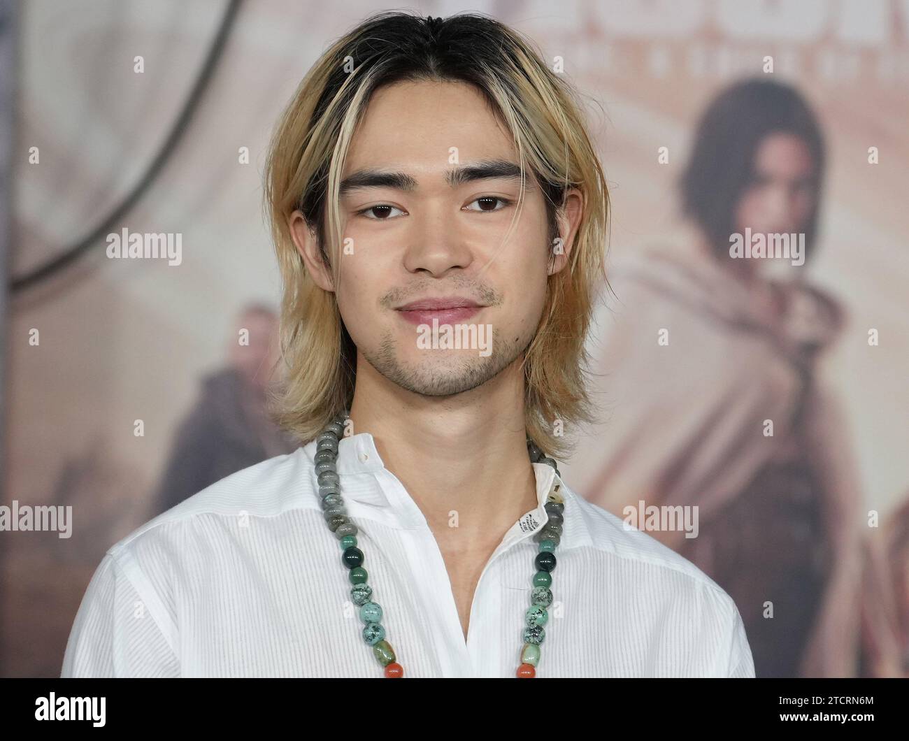 Los Angeles, USA. 13th Dec, 2023. Sky Yang arrives at the Netflix's ...