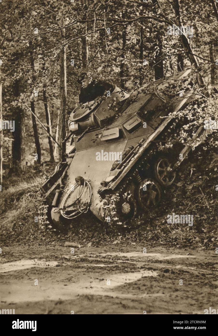 German armored vehicles, concealed within the forest, prepare to launch an attack. This tactic of using natural cover for stealth highlights the strategic use of terrain in enhancing the element of surprise in military engagements. The maneuver reflects a blend of cautious positioning and offensive readiness Stock Photo
