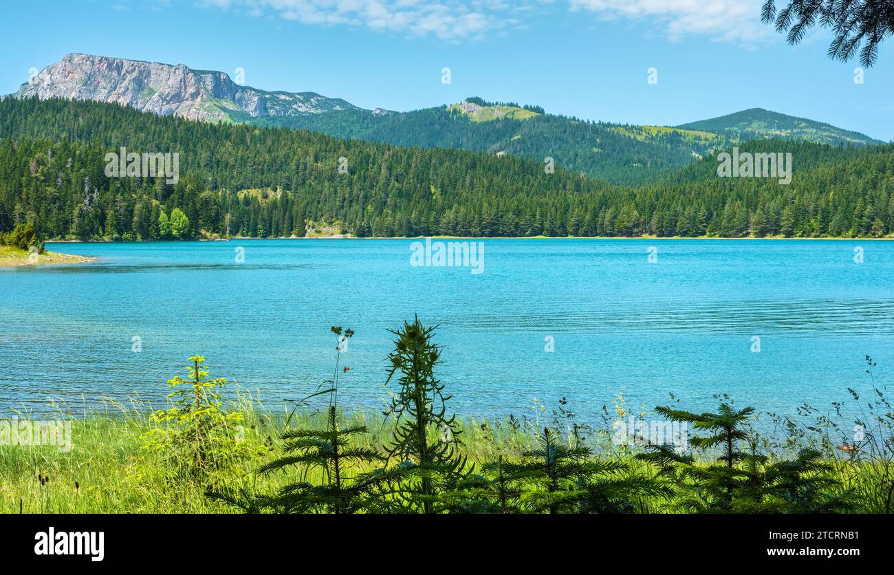 Glacial panorama hi-res stock photography and images - Alamy