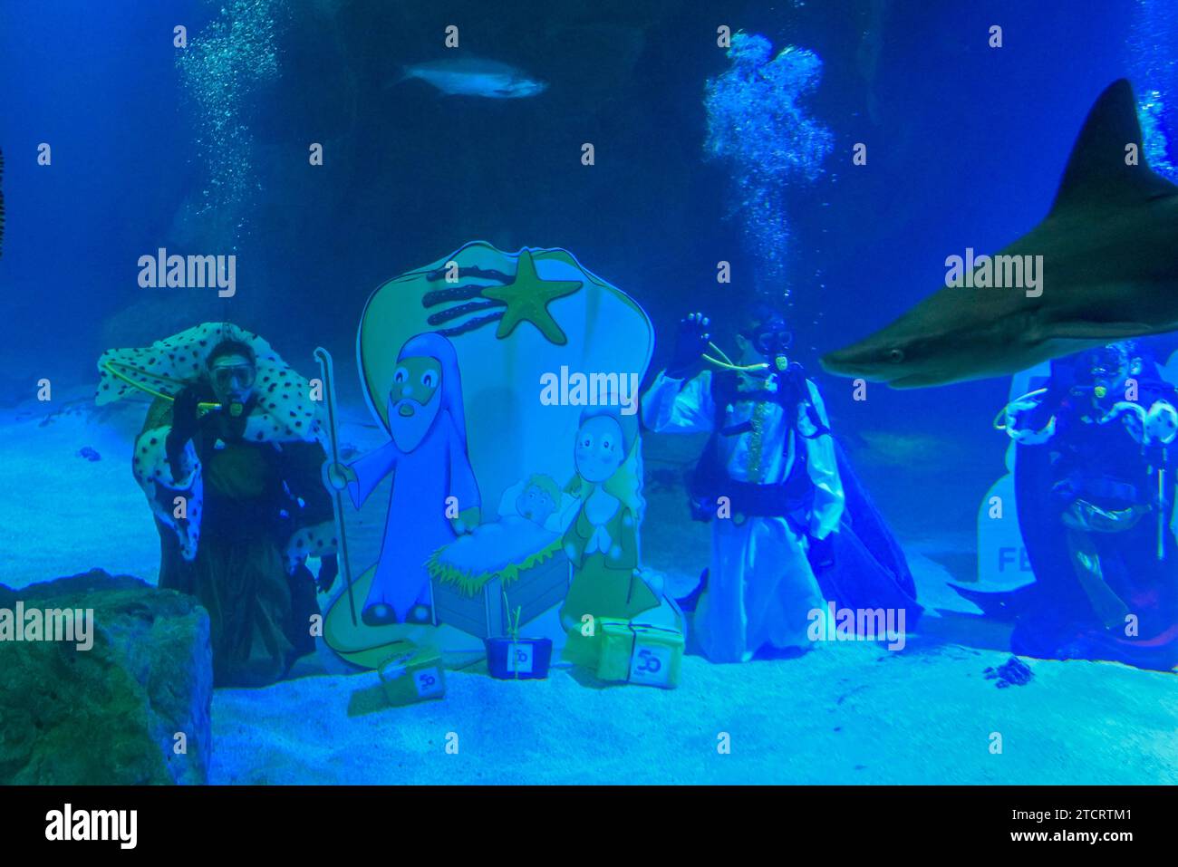 A shark swims by as divers dressed as the biblical Three Wise Men kneel by a Christmas Nativity