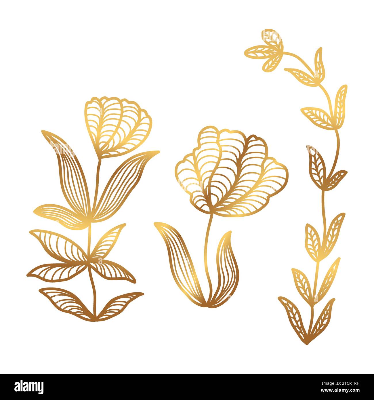 Golden Floral Vector Illustration with Line Style. Luxury Hand Drawn ...