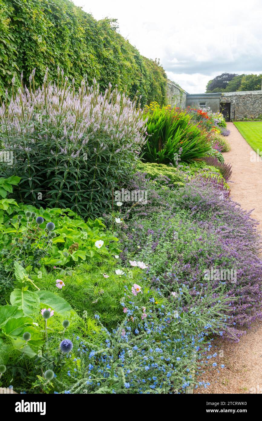 Perennial plants herbaceous border hi-res stock photography and images ...