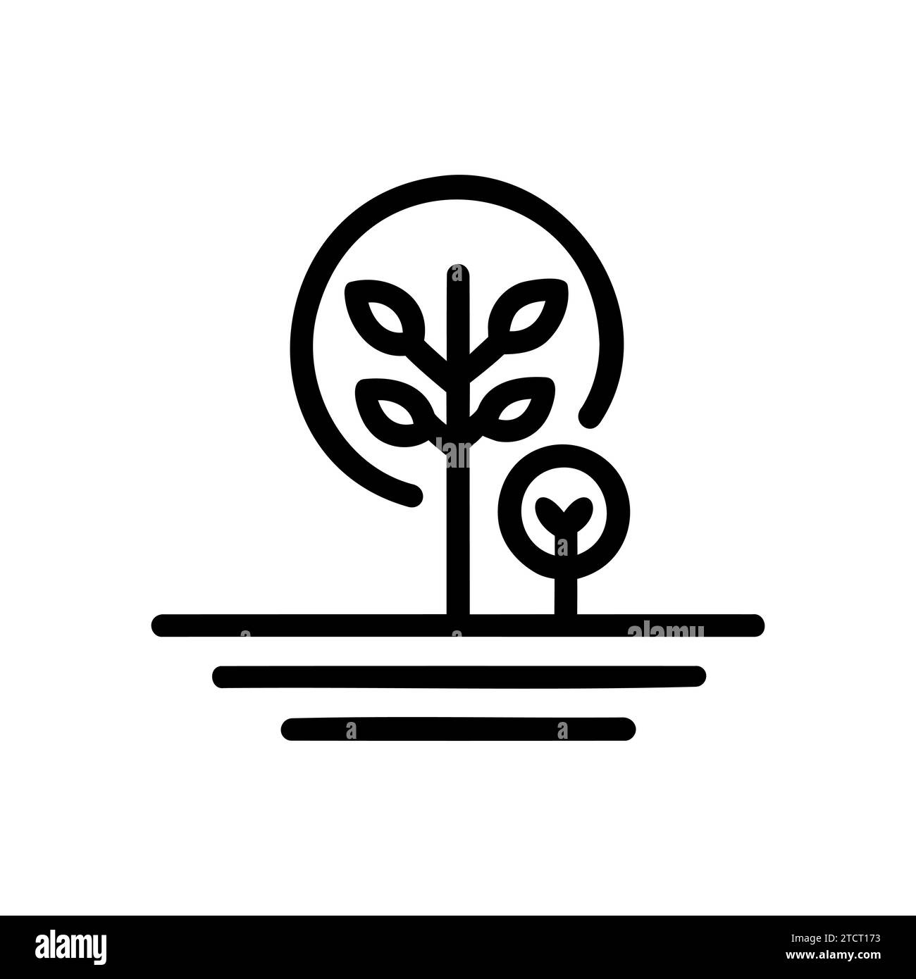 Sprout Definition In Simple Words at Patty Stivers blog