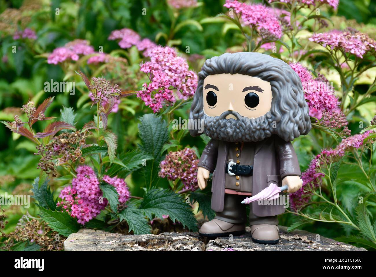 https://c8.alamy.com/comp/2TCT660/funko-pop-action-figure-of-gamekeeper-half-giant-hagrid-with-umbrella-from-fantasy-movie-harry-potter-pink-flowers-forest-glade-tree-stump-2TCT660.jpg