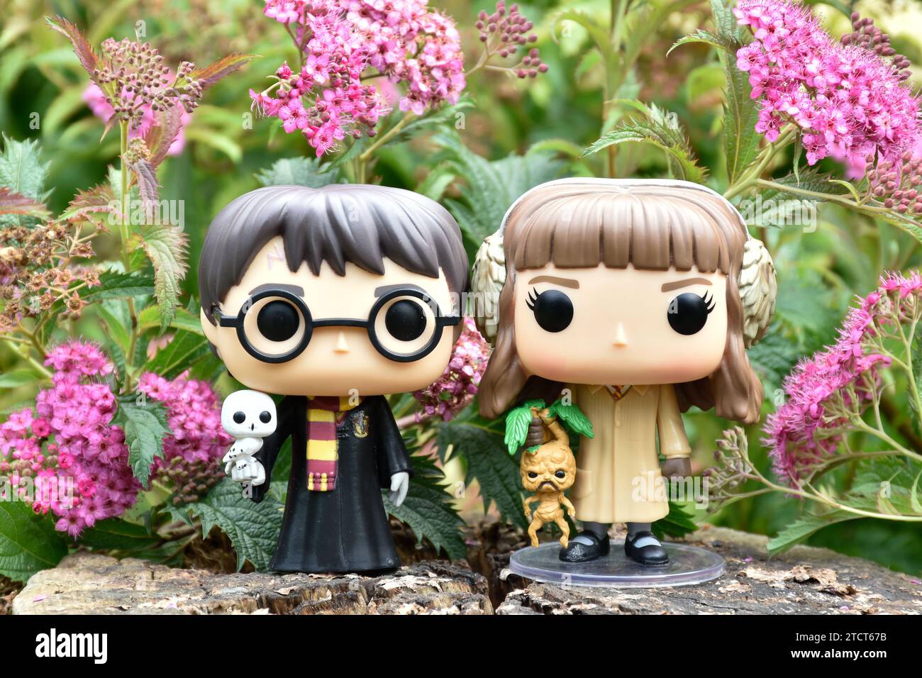 Funko Pop action figures of Harry Potter and Hermione Granger. Pink flowers, forest glade, magical woods, wizarding world, friendship. Stock Photo