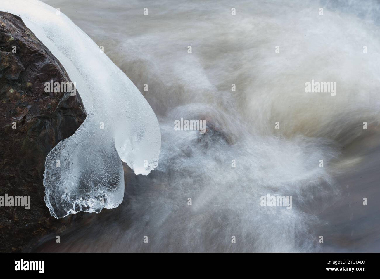 Ice on a rock with a white background Stock Photo - Alamy