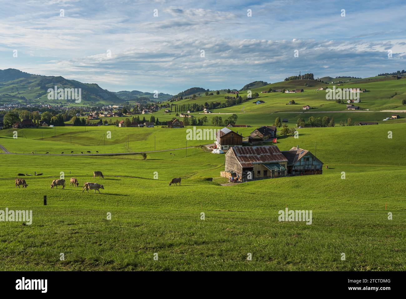 Appenzell region with scattered farm houses and grazing cows on meadows, Canton of Appenzell Innerrhoden, Switzerland Stock Photo