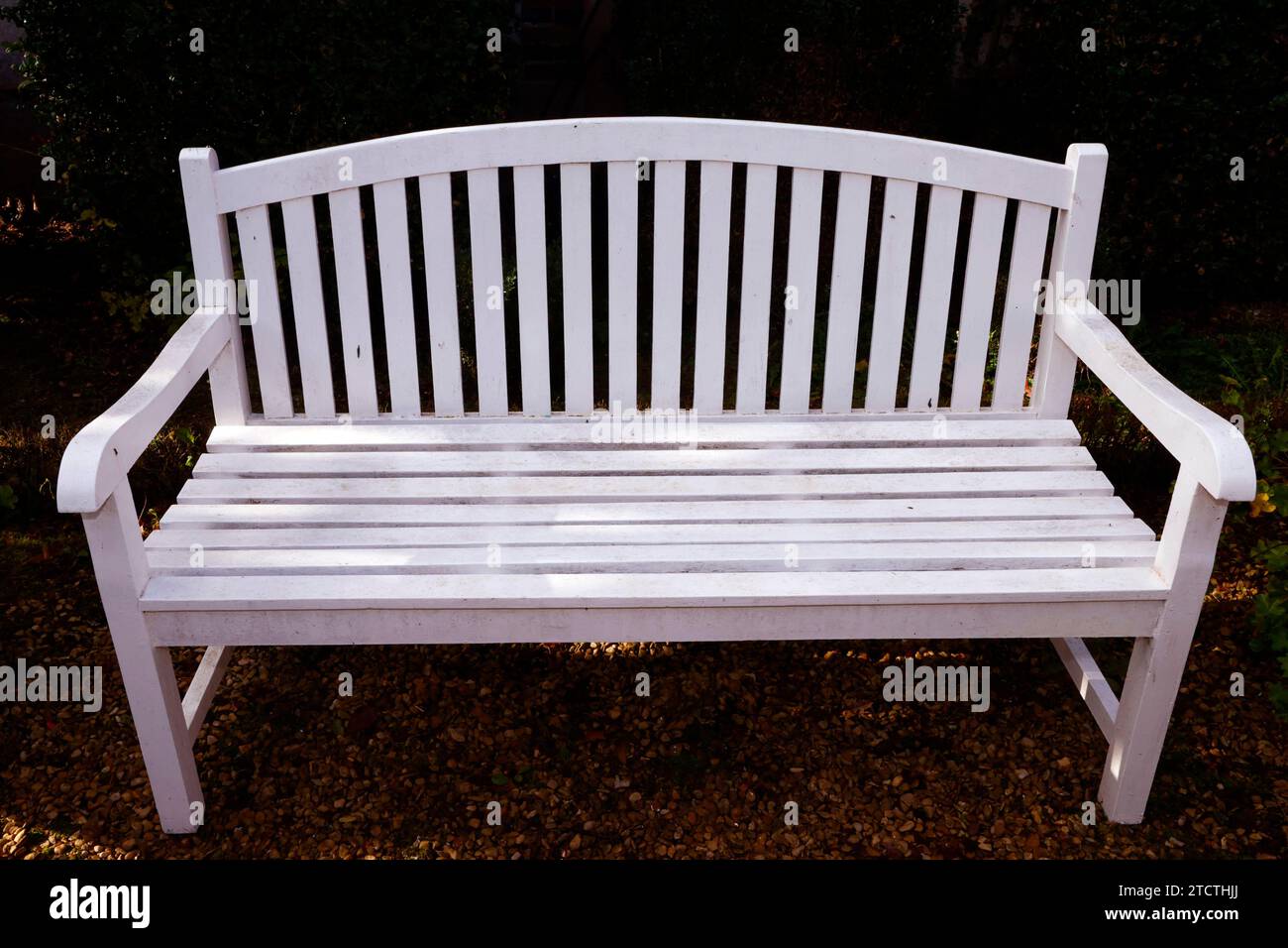 Empty white wooden bench in a garden. Stock Photo
