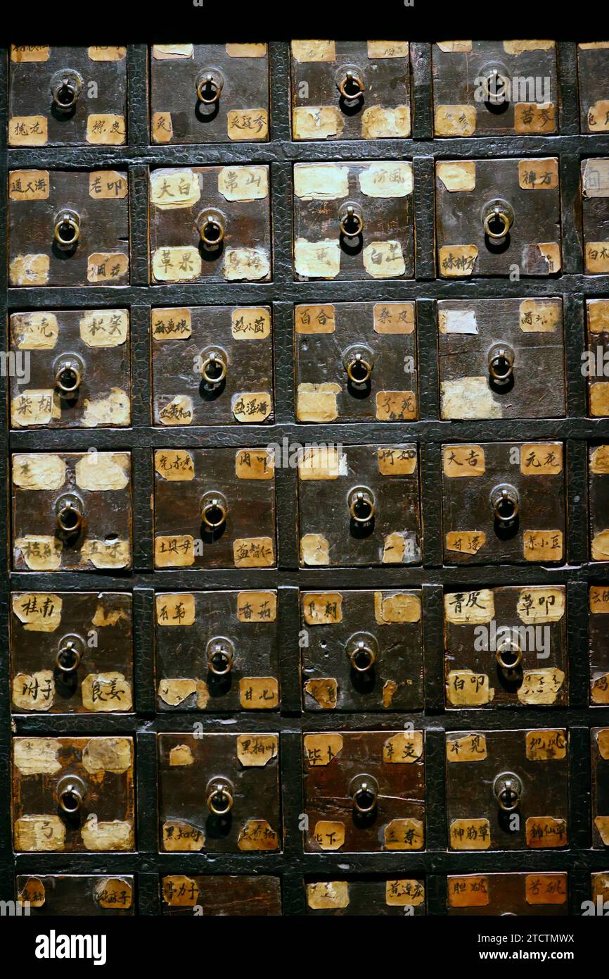 Traditional chinese medicine. Pharmacy cabinet. China. 19 th century.  Paris. France. Stock Photo