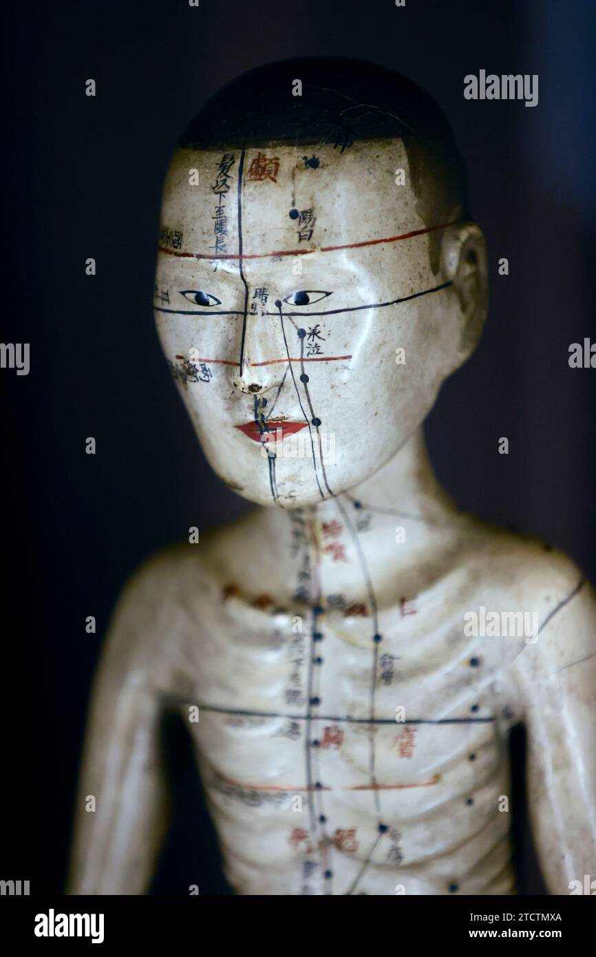 Guimet museum. traditional chinese medicine. Acupuncture manikin. Paris. France Stock Photo Alamy