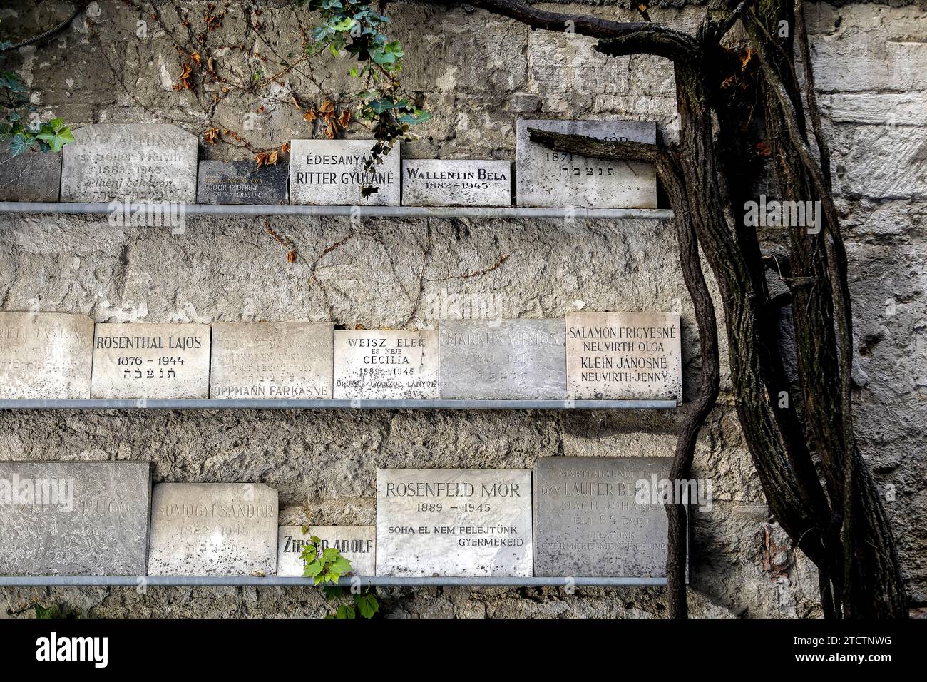 Cemetery of the Great synagogue of Budapest, Hungary Stock Photo
