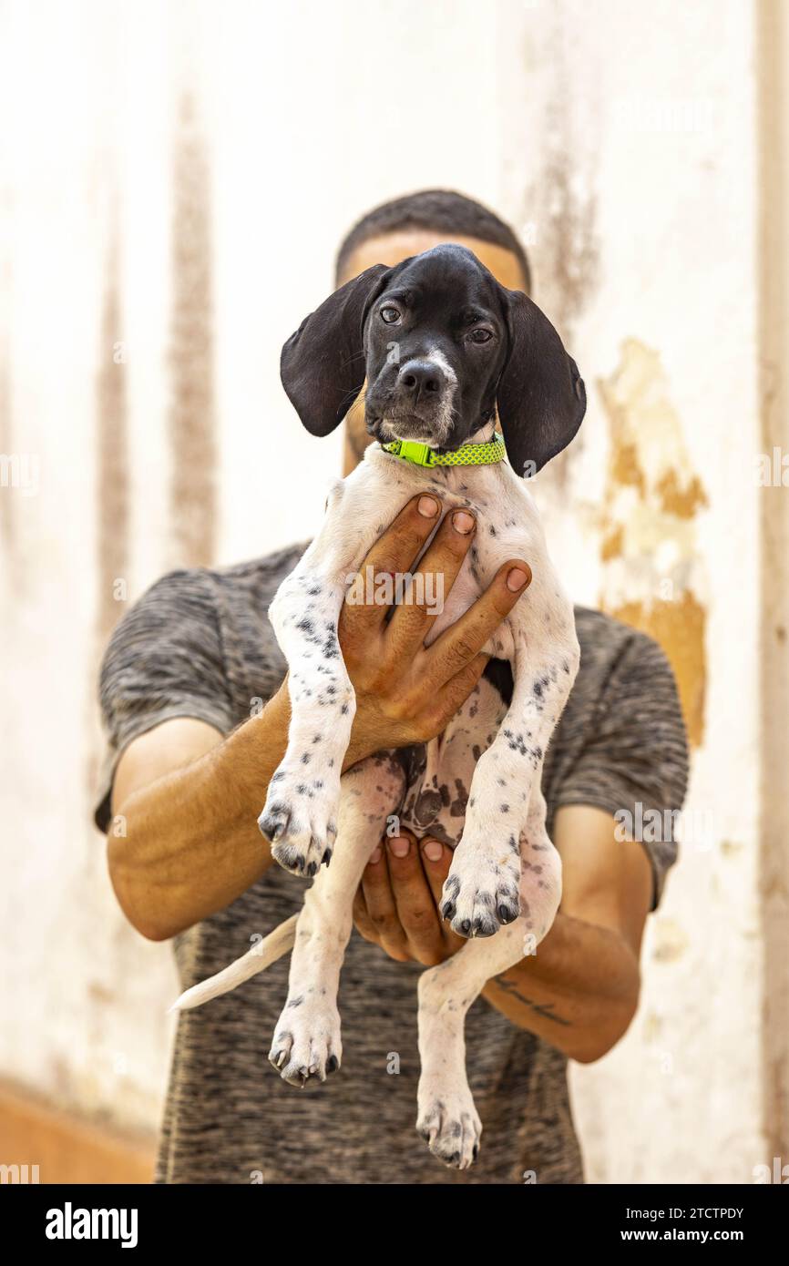Man holding  a puppy in Gagliano del Capo, Italy Stock Photo